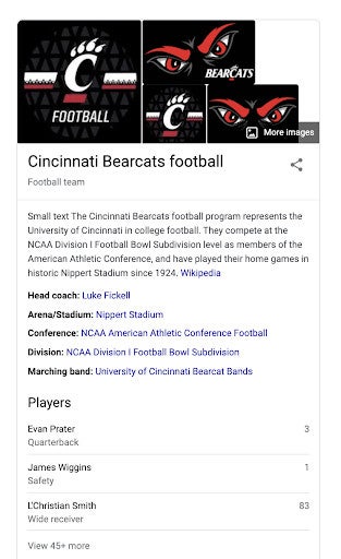 Google result for "Cincinnati Bearcats football" with team logo, brief info, and list of players.