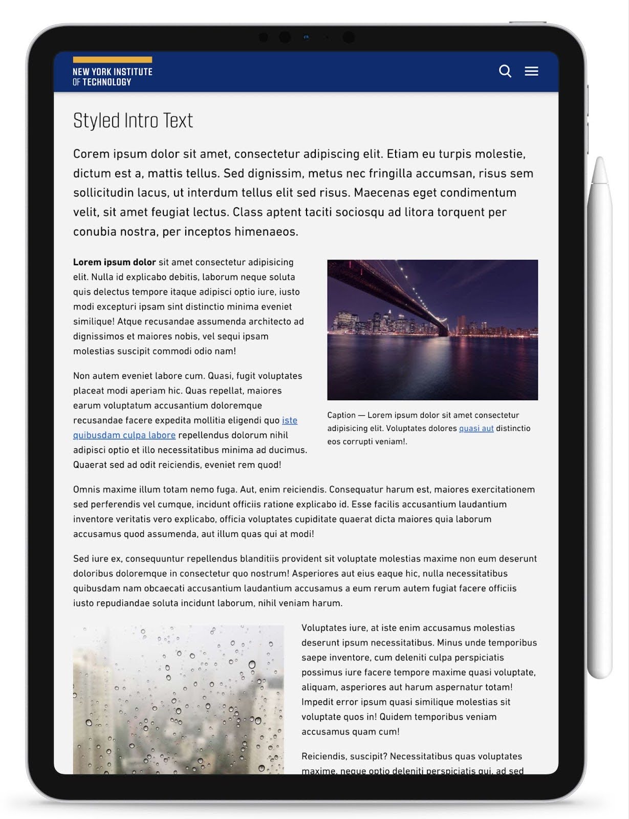 An example of placeholder content on a staging page for the New York Institute of Technology.