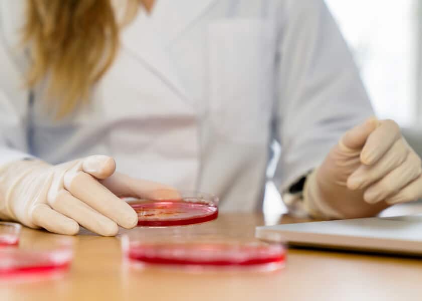 Person in a lab coat and gloves holding a petri dish with red substance on a table.