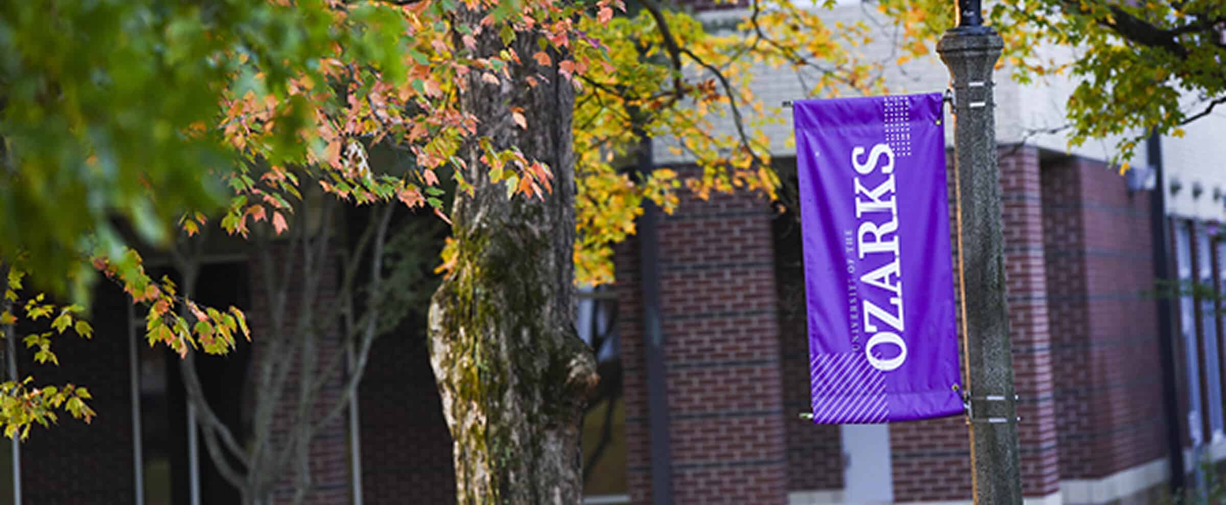 A purple Ozarks banner hangs from a lamp post near a brick building and trees with autumn leaves.