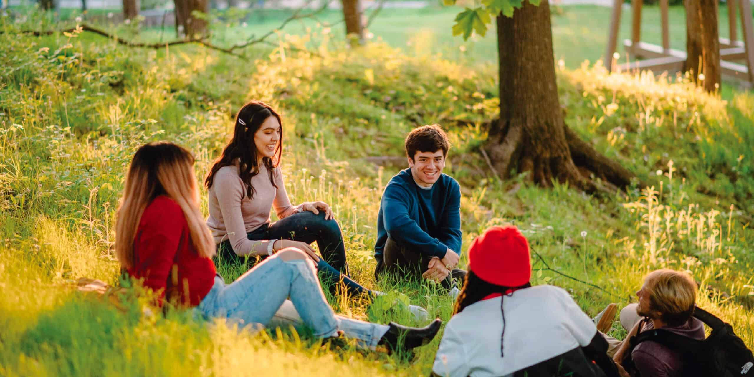 Five young people sit in a sunny, grassy park, talking and smiling among trees.